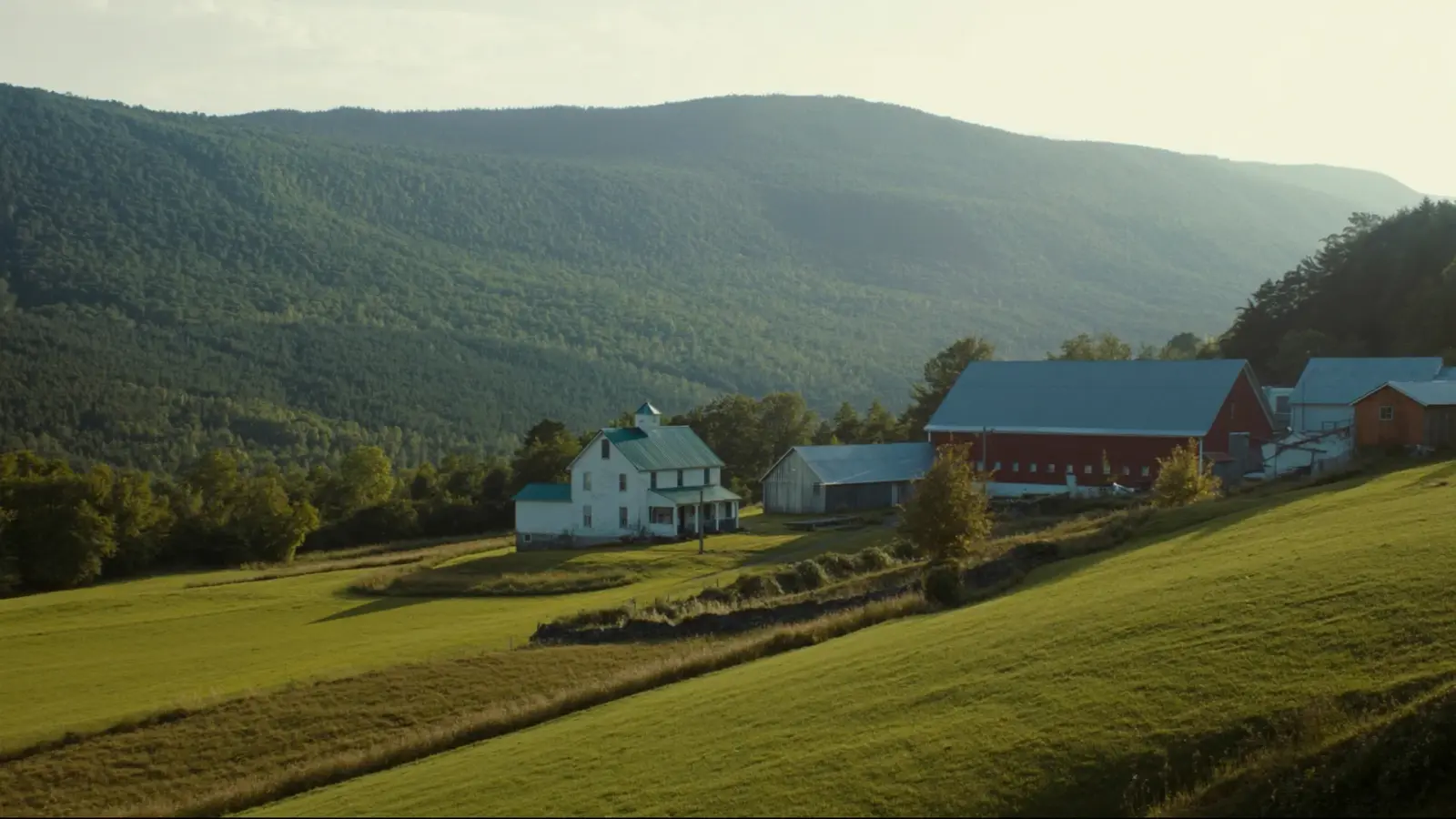 Vermont farmstead with standing seam metal roofs on a white farmhouse and red barn in a green mountain valley